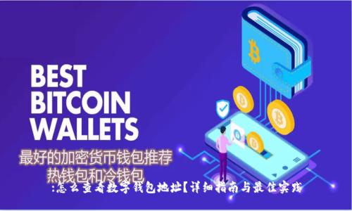:怎么查看数字钱包地址？详细指南与最佳实践