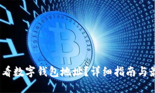 :怎么查看数字钱包地址？详细指南与最佳实践