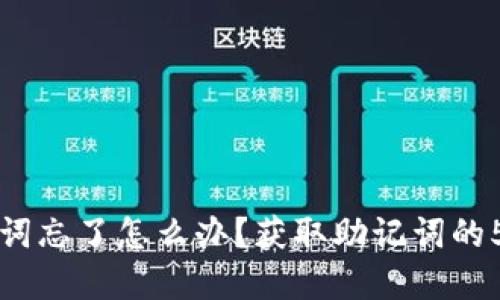 TP钱包助记词忘了怎么办？获取助记词的5个实用方法