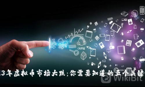 2023年虚拟币市场大跌：你需要知道的五个关键因素
