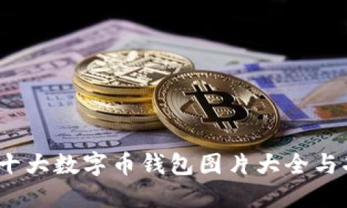 2023年十大数字币钱包图片大全与功能详解