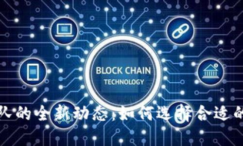 2023年TP钱包开发团队的全新动态:如何选择合适的区块链钱包开发团队?
