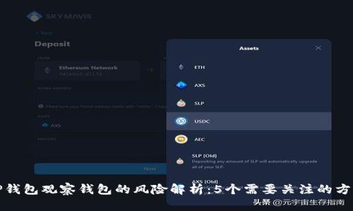 TP钱包观察钱包的风险解析：5个需要关注的方面