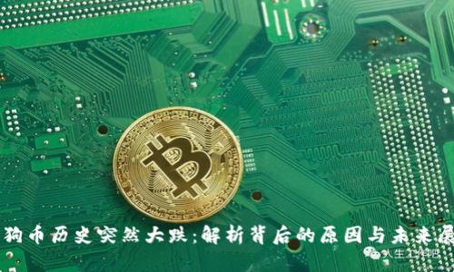 狗狗币历史突然大跌：解析背后的原因与未来展望