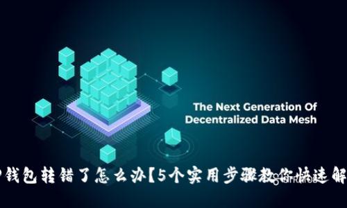 TP钱包转错了怎么办？5个实用步骤教你快速解决
