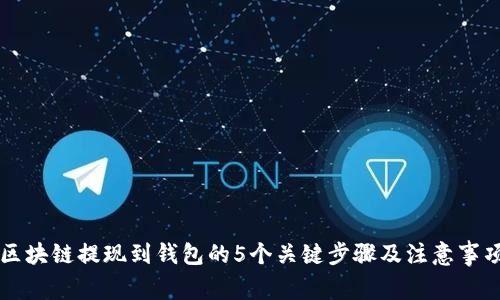 区块链提现到钱包的5个关键步骤及注意事项