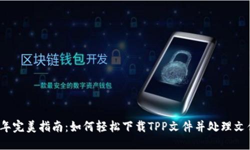 2023年完美指南:如何轻松下载TPP文件并处理文件格式
