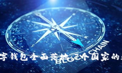 2023年国际数字钱包全面落地：7个国家的数据与未来展望
