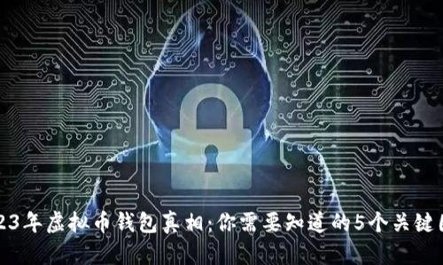 2023年虚拟币钱包真相：你需要知道的5个关键因素