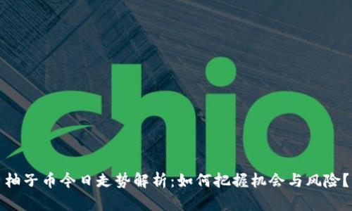 柚子币今日走势解析：如何把握机会与风险？