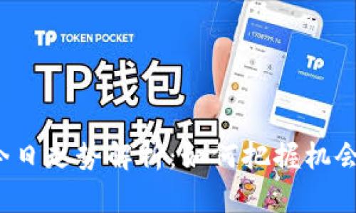 柚子币今日走势解析：如何把握机会与风险？
