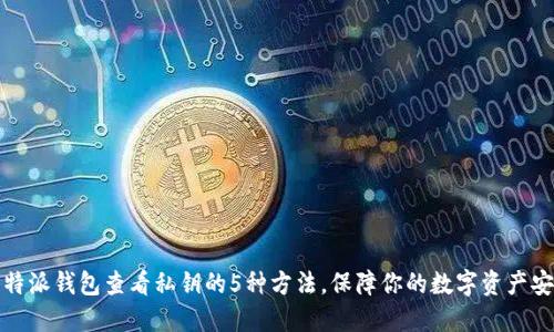 比特派钱包查看私钥的5种方法,保障你的数字资产安全