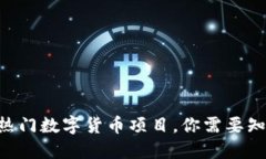2023年10大热门数字货币项