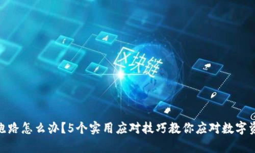 tp钱包跑路怎么办?5个实用应对技巧教你应对数字资产风险