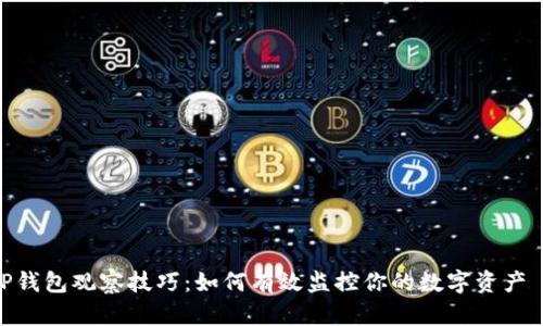TP钱包观察技巧：如何有效监控你的数字资产  