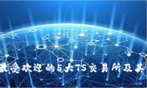 2023年最受欢迎的5大TS交易所及其优势分析