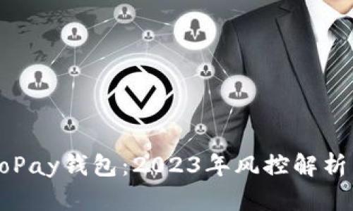 数字货币GoPay钱包：2023年风控解析与使用指南