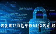 2023年全面指南：如何使用
