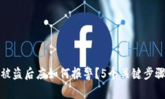 TP钱包被盗后应如何报警？