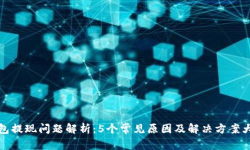 TP钱包提现问题解析：5个常见原因及解决方案大揭秘