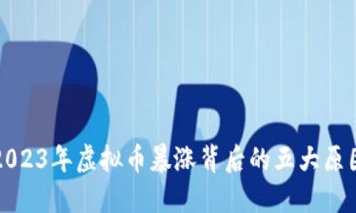 2023年虚拟币暴涨背后的五大原因