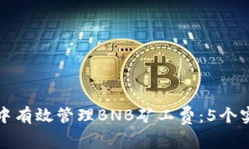 如何在TP钱包中有效管理BNB矿工费：5个实用技巧和策略