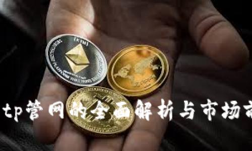 2023年tp管网的全面解析与市场前景分析